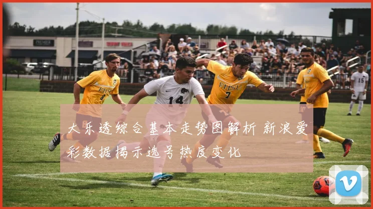 大乐透综合基本走势图解析 新浪爱彩数据揭示选号热度变化